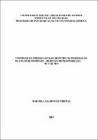 2013 - Marcela Galdino de Freitas.pdf.jpg