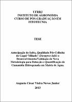 2013 - Augusto César Vieira Neves Junior.pdf.jpg