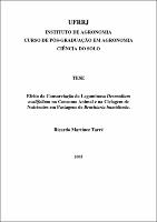 2005 - Ricardo Martinez Tarré.pdf.jpg