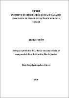 2016 - Rísia Brígida Gonçalves Cabral.pdf.jpg