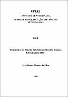2009 - Lívia Helena Moreira da Silva.pdf.jpg