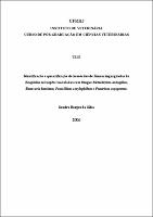 2006 - Sandra Borges da Silva.pdf.jpg
