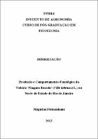 2012 - Miquéias Permanhani.pdf.jpg