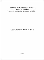 1988 - Mauro dos Santos Modesto de Britto.pdf.jpg