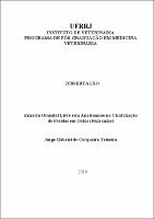 2018 - Jorge Gabriel de Cerqueira Teixeira.pdf.jpg