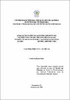 2009 - Clarissa Pimentel de Souza.pdf.jpg